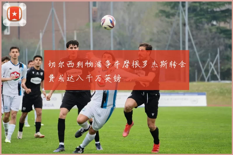 切尔西利物浦争夺摩根罗杰斯转会费或达八千万英镑