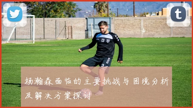 杨瀚森面临的主要挑战与困境分析及解决方案探讨