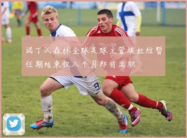 诺丁汉森林全球足球主管埃杜短暂任期结束仅八个月即将离职